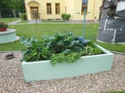 Zahrádka ve školce